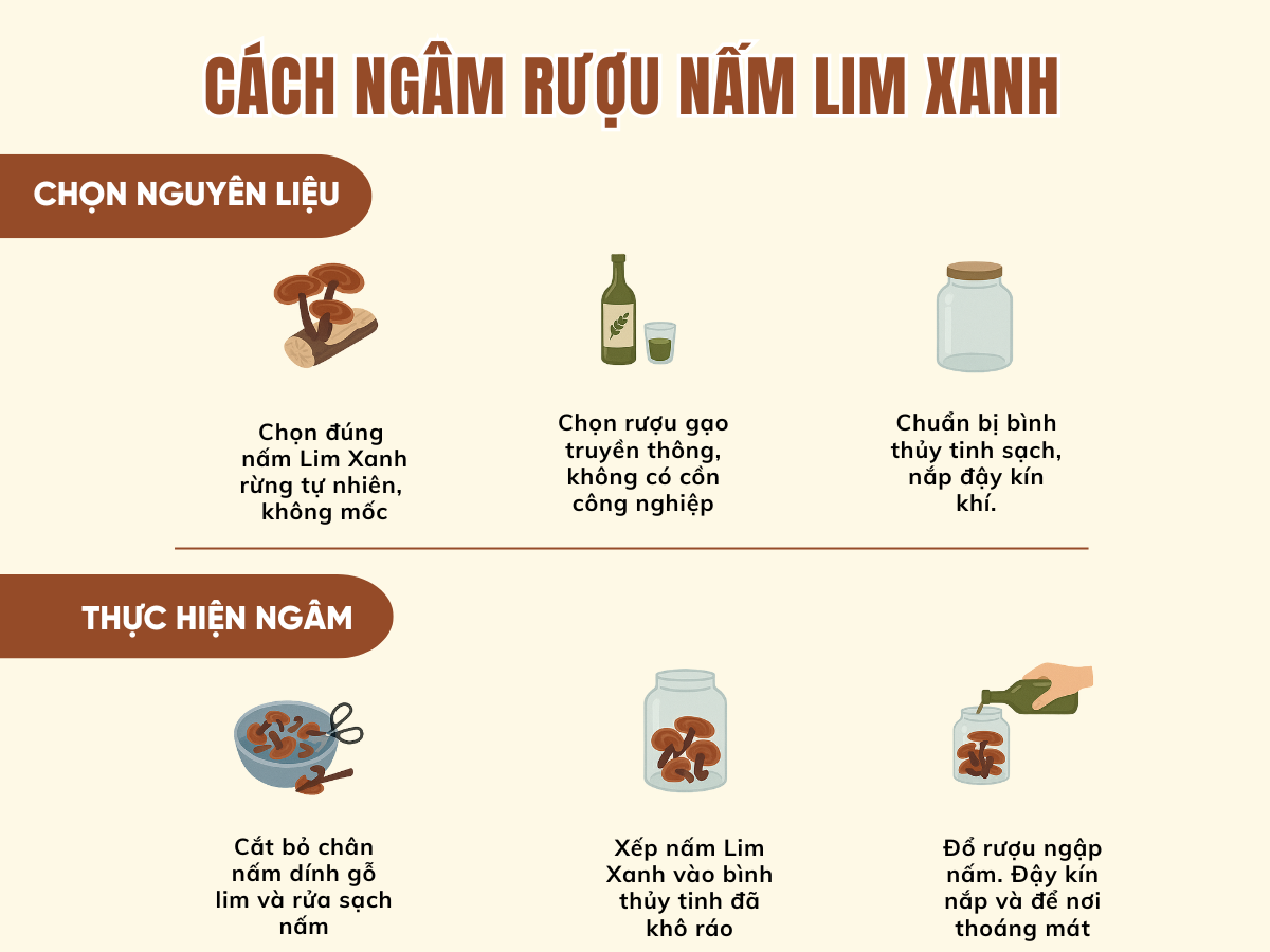 nấm lim xanh ngâm rượu